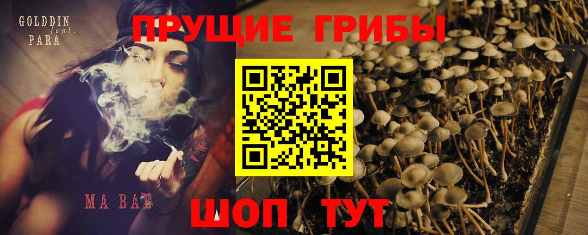 Галлюциногенные грибы GOLDEN TEACHER Заводоуковск